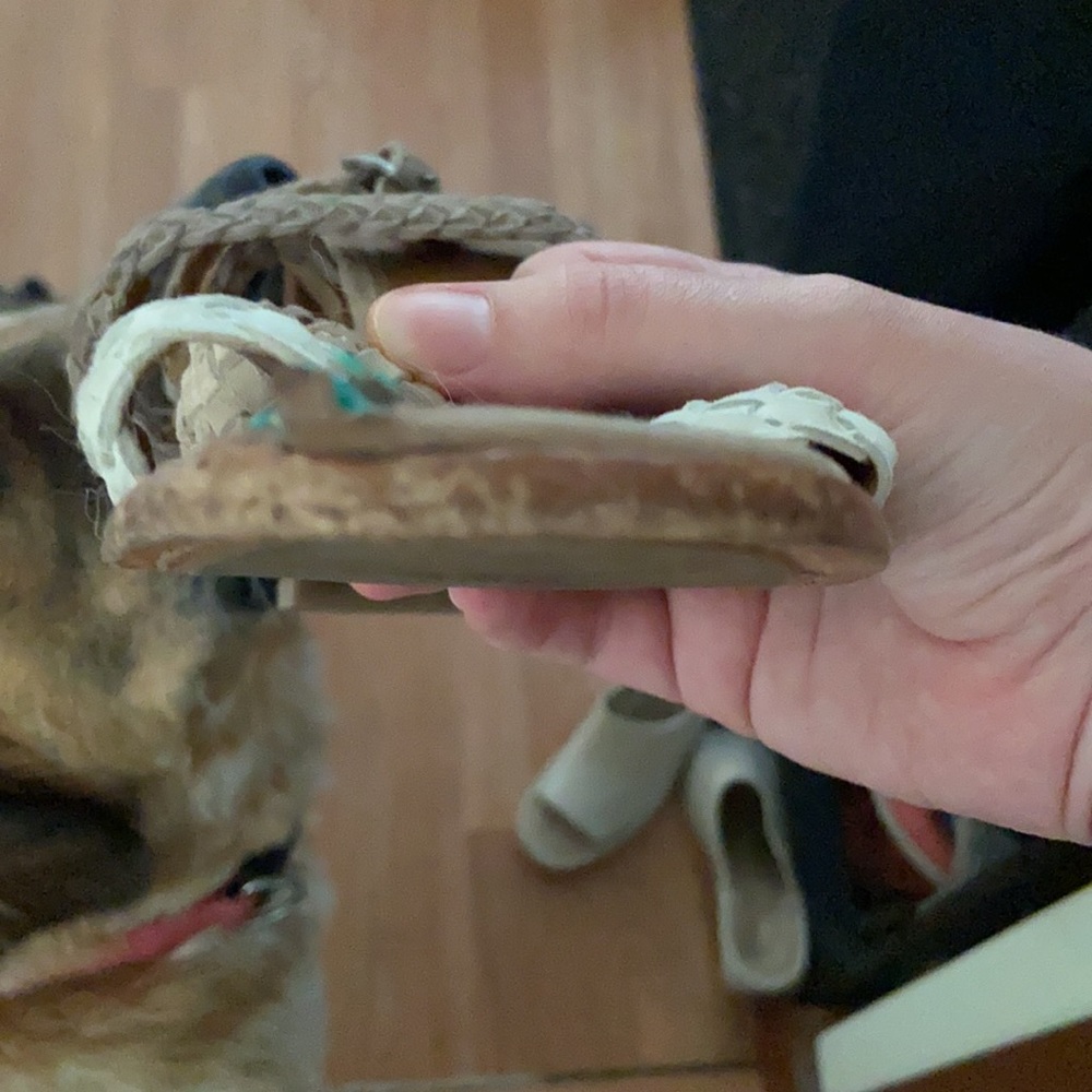 Size 9.5 Frye heel sandals. - Picture 8 of 8